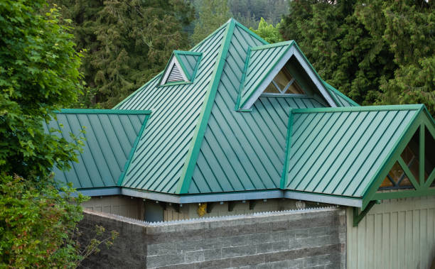 Best Metal Roofing Installation  in Fern Acres, HI