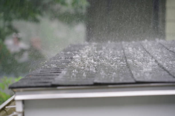 Best Roof Coating and Sealing  in Fern Acres, HI