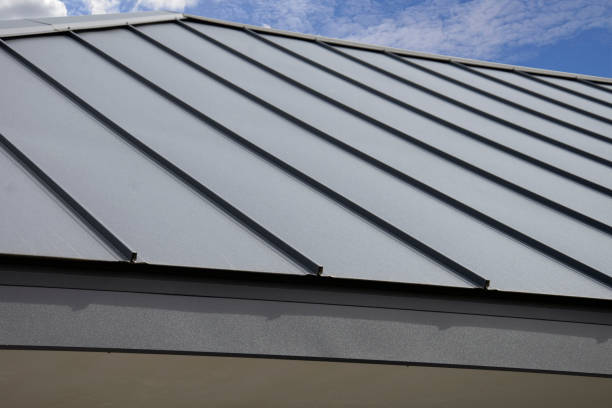 Best Sheet Metal Roofing  in Fern Acres, HI