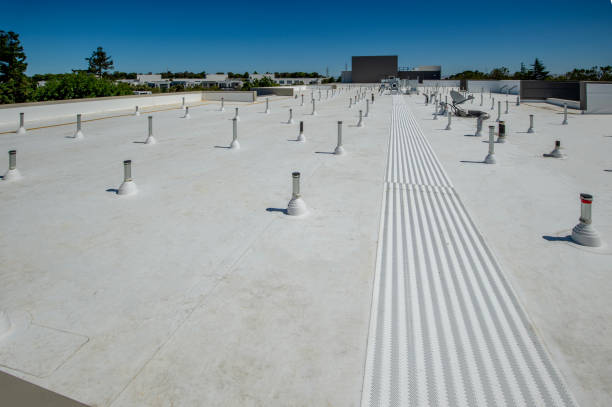 Trusted Fern Acres, HI Roofing Experts