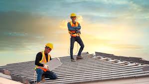 Best Roof Moss and Algae Removal  in Fern Acres, HI